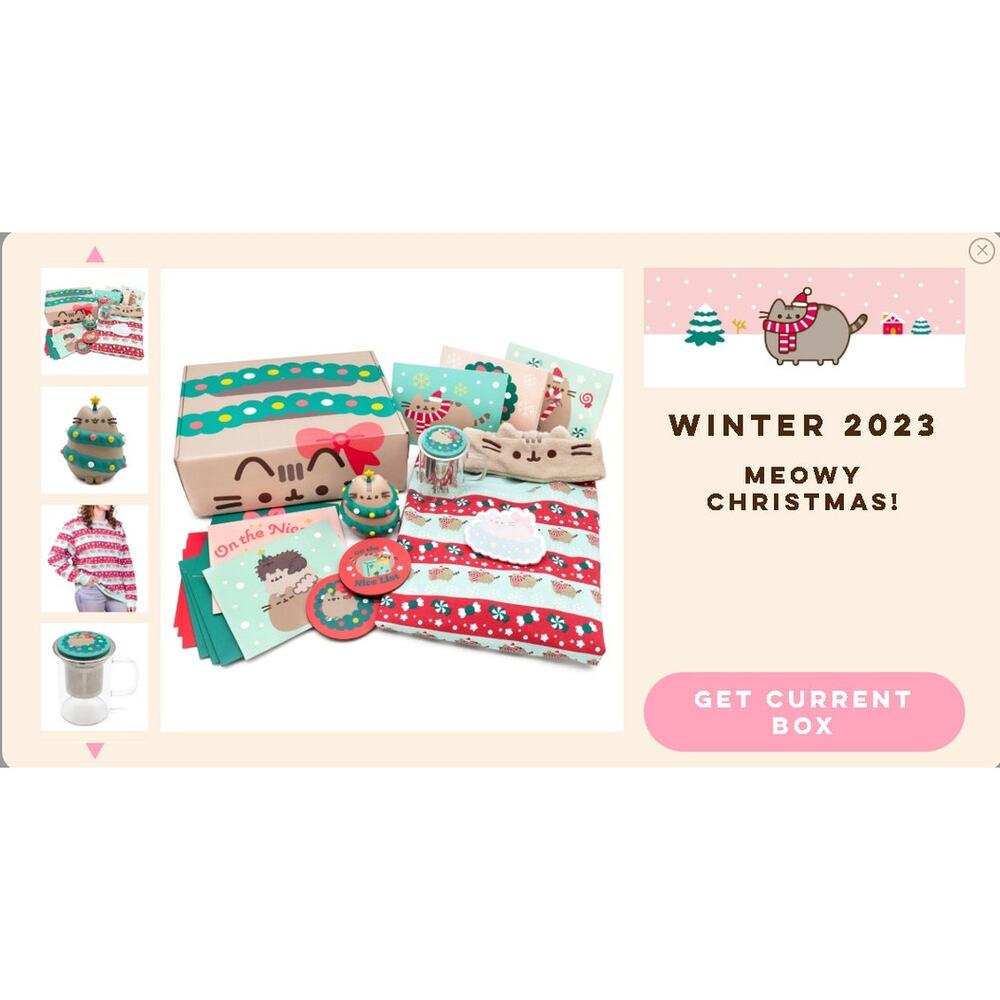 Winter 2023 Pusheen Box Home Sweet Home
